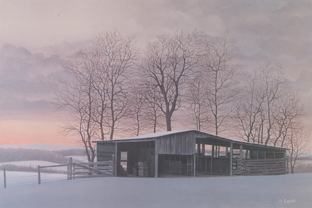 dawn - trees, winter, snow, shed, light, sky