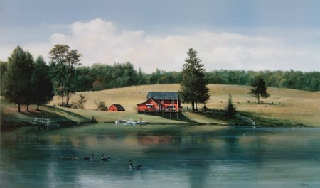 summer - sky, ducks, lake, trees, house