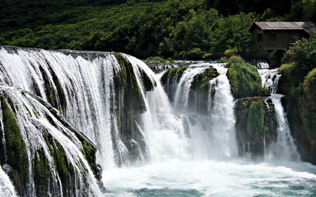 The Green Waterfall - hillside, gentl, water, waterfall, mill, nature, clean, forest, beautiful, green, old