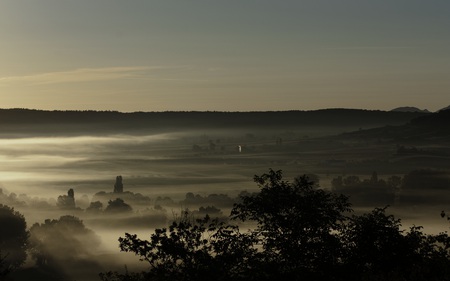 Foggy Valley - morning, valley, sky, trees, hills, clear, nature, forest, rolling, twilight, fog