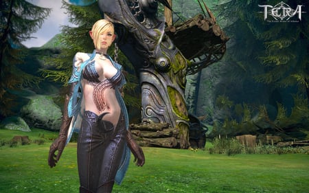 Elf - elf, game, tera, fantasy, hot, hd, sexy