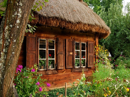 Cottage - cottage, trees, green, house, flowers, grass