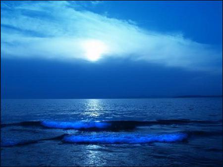 Blue Horizon - sky, serene, peaceful, night, waves, rolling, creast, blue, moonlight