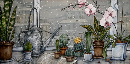 winter in the city - cactus, window, snow, plants, flower