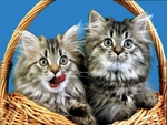 Sweet friends in basket