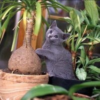 Cat among plants