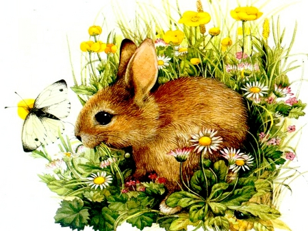 CUTE BUNNY - flowers, rabbit, garden, painting, butterfly, bunny