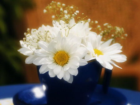 daisys - daysys, babys breath, coffee cup, daisy, cup, white, yellow, stoneware, blue