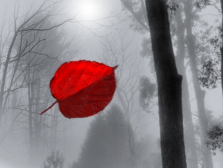 last leaf - trees, winter, fog, red, cold, leaf, leaves