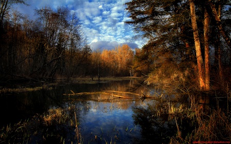 lake - nature, lake, landscape, reflection