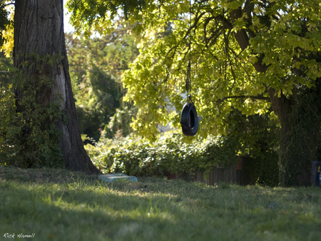 Tire Swing - mississippi, portland, tire, swing, oregon