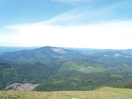 Top of Mary's Peak - oregon, landscape, peak, marys