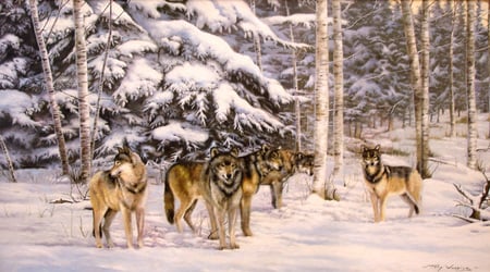 Call Of The Wild - survival, winter, wolves, cold, forest, snow, life parteners, family, pines