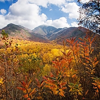 Fall in the Smokies~