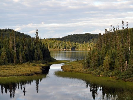 entrance to lake  great fishing - lake, shoreline, forest, trees