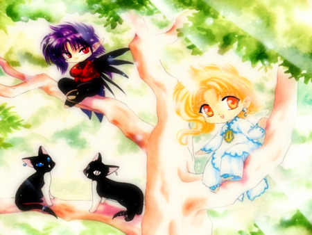 warm memories - koryu, hari, ruri, clamp, wish, kohaku