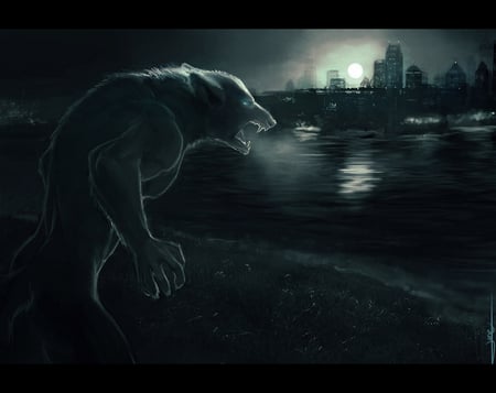 Wolf - abstract, night, blue, environment