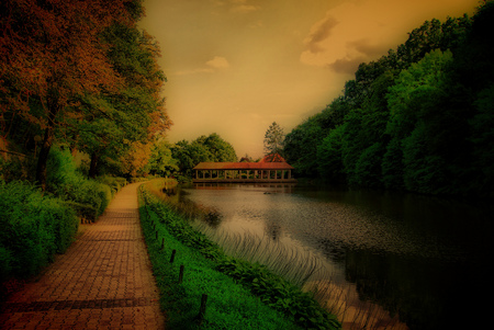 Strange world - grass, water, pond, tree