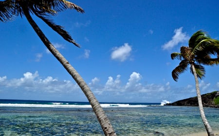 Beautiful Isle in the Caribbean - beaches, sky, surf, trees, water, clear, palm, crashing, waves, nature, clouds, blue, beautiful