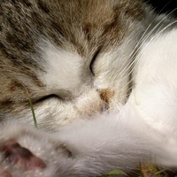 Nap time