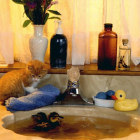 Bath time
