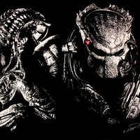 Alien and predator