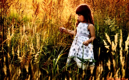 child - people, nature, child, sun