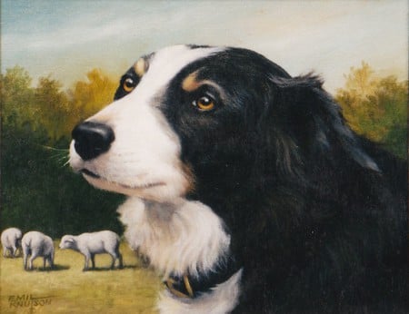 A Farmer's Right Hand - work, sheep, collie, devoted, herding, dog, farm