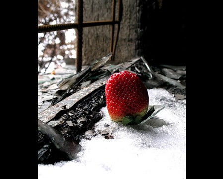 Sweet Strawberry Winter - strawberry, window, hot, red, snow, winter, sweet