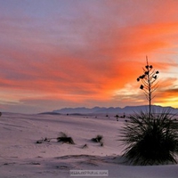 White Sand