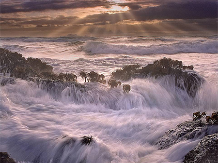 Storm - rays, ocean, sky, sun, island, water, storm