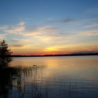 Evening at the lake