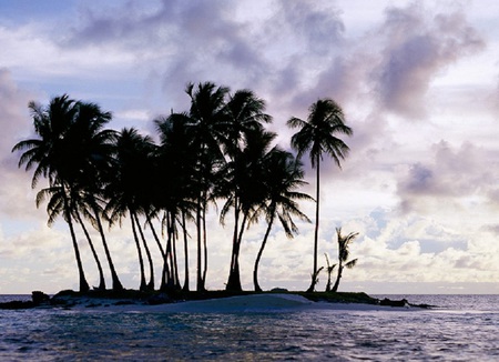 Isolated - island, water, sky, palm trees