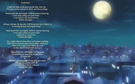 Lonely Night - moon, black cat, rie fu, light, night, bulding, lyric, alone, lonely, tsukiakari, blue, liuchia