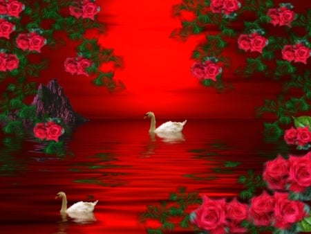 in love\'s view - nature, swans, abstract, lake, roses, red, pond