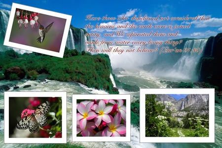 a verse from the book of guidance - flowers, birds, brazil waterfall, waterfall