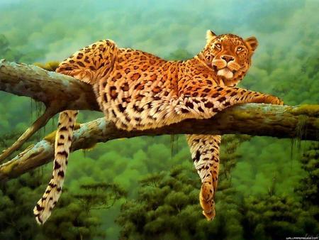 leopard on the tree - cat, leopard, animals