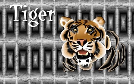 Titled Tiger In Metal Cage - grey iron tones, metal, tiger, titled