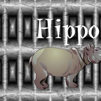 Hippo House