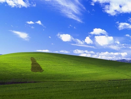 Bill, looked out your window lately? - linux is better, windows, bliss, mowed, tux