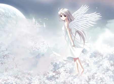 The World Beyond - flowers, girls, clouds, kingdom, wings, cute, angel, feathers