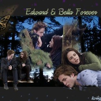 Edward & Bella Forever