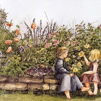 The Dandelion