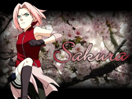 sakuraa - sakura, haruno, wallpapper, naruto