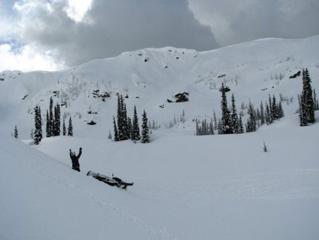 SNOW GODS - nature, trees, snowmobile, snow, mountains