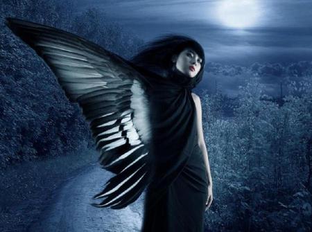 The Raven - moon, woman, raven, night, transformation