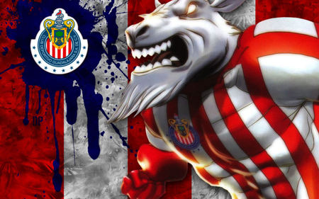 chivas are the best - chivas rock, jeffrey, lizbet, osmar