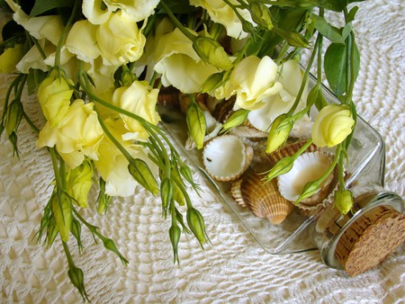 still life - beautiful, photography, lace, photo, cool, flower, still life, bouquet, harmony, flowers, shells, nice, glass