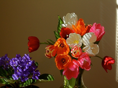 Tulips - beauty, photography, colorful, tulips, still life, white, pretty, orange, sunlight, lovely, vase, nature, red, beautiful, colors, tulip, flowers