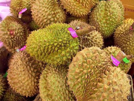 chestnuts - seed, autumn, fruits, fruit